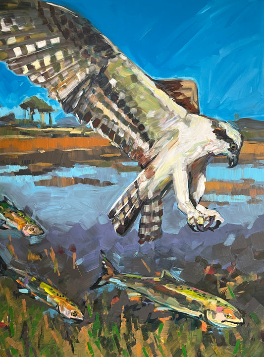 Landscape- Osprey Diving