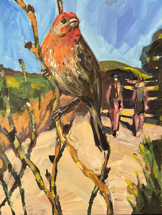 Landscape- House Finch on the Trail